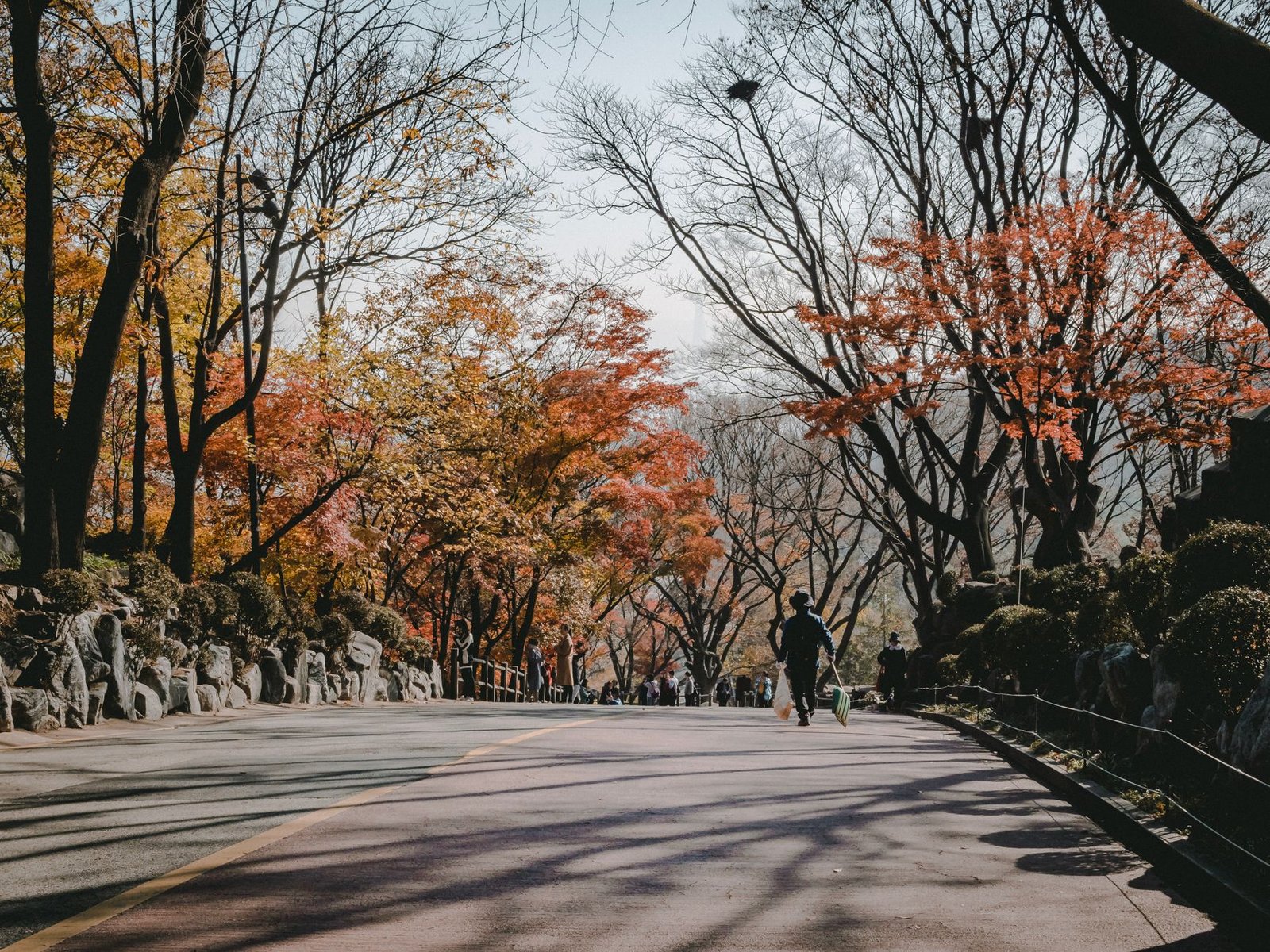 A professional taking a brisk walk outdoors after lunch to stabilize energy.
