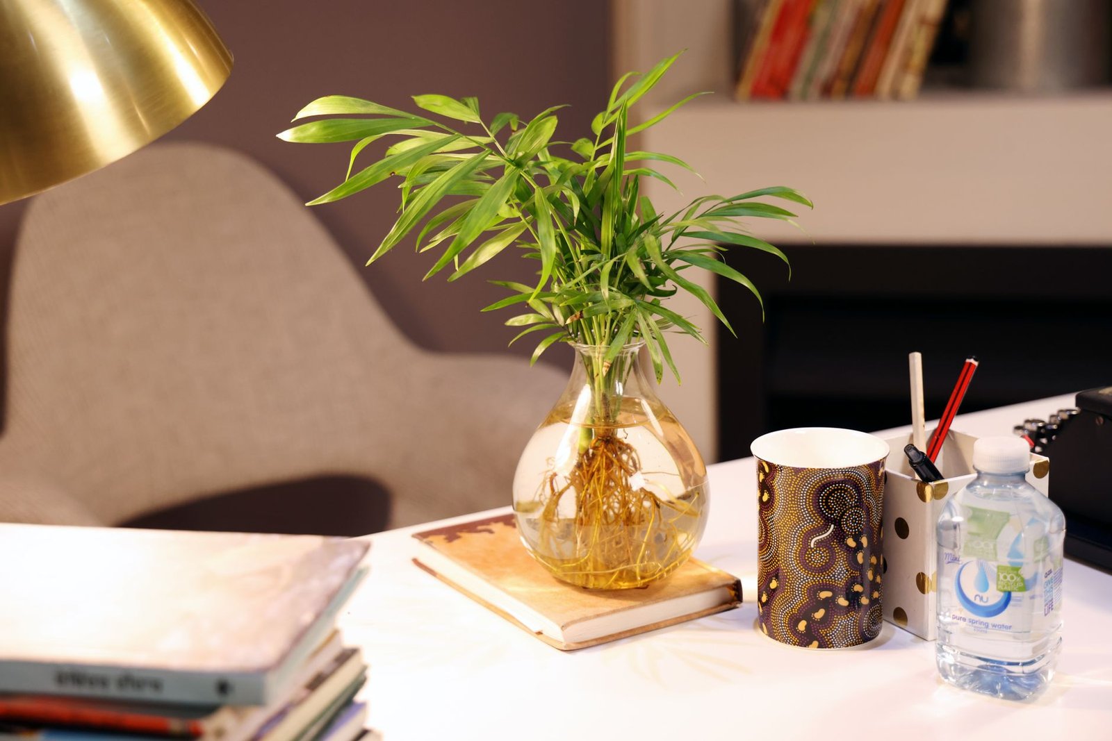 A simple green plant on a minimalist desk with natural lighting.