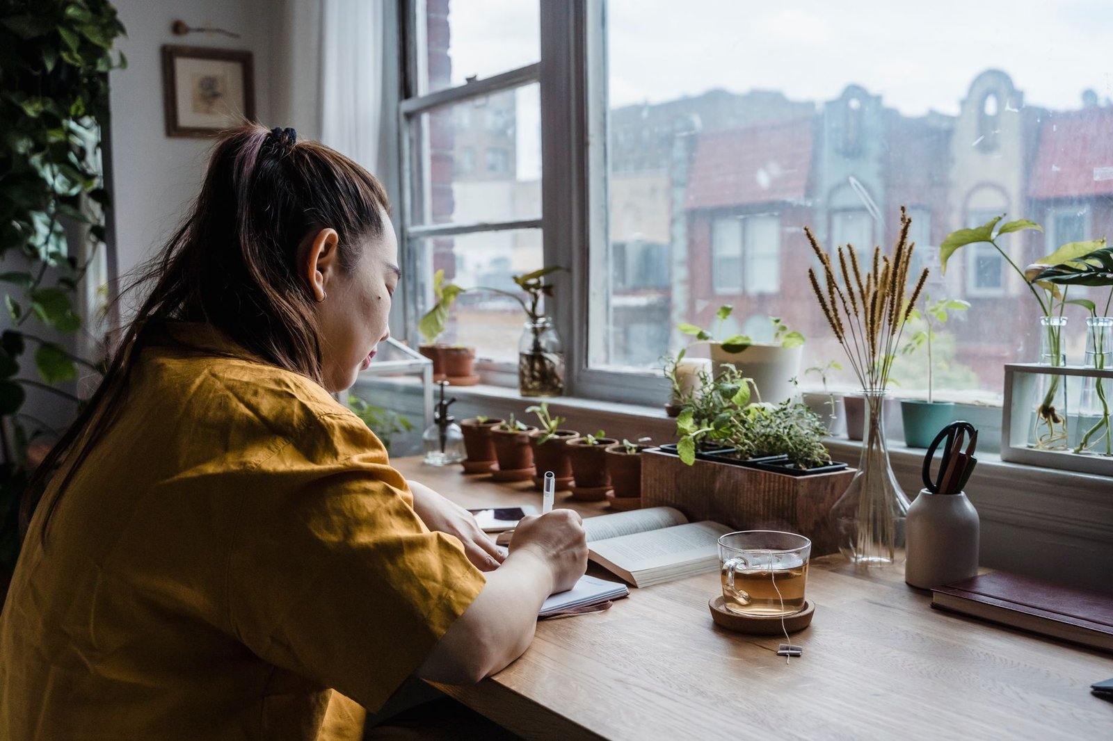 A peaceful home office corner featuring a thriving green plant and soft natural light.