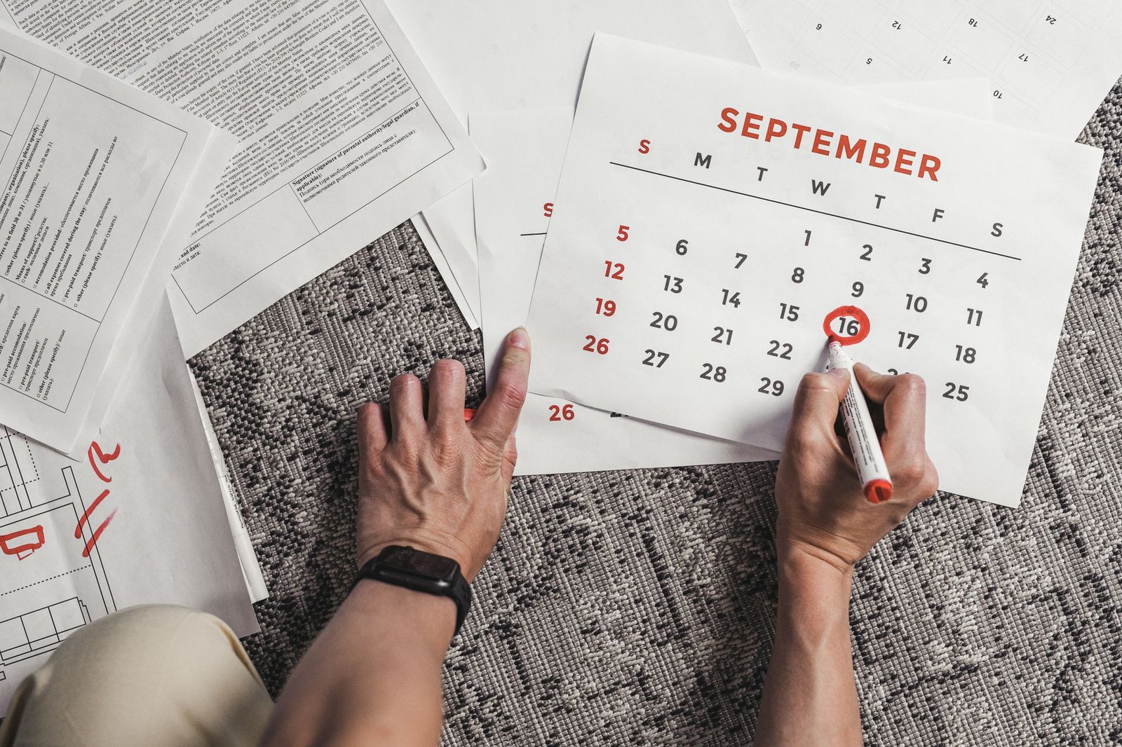 A professional reviewing calendar blocks and task databases on a laptop.